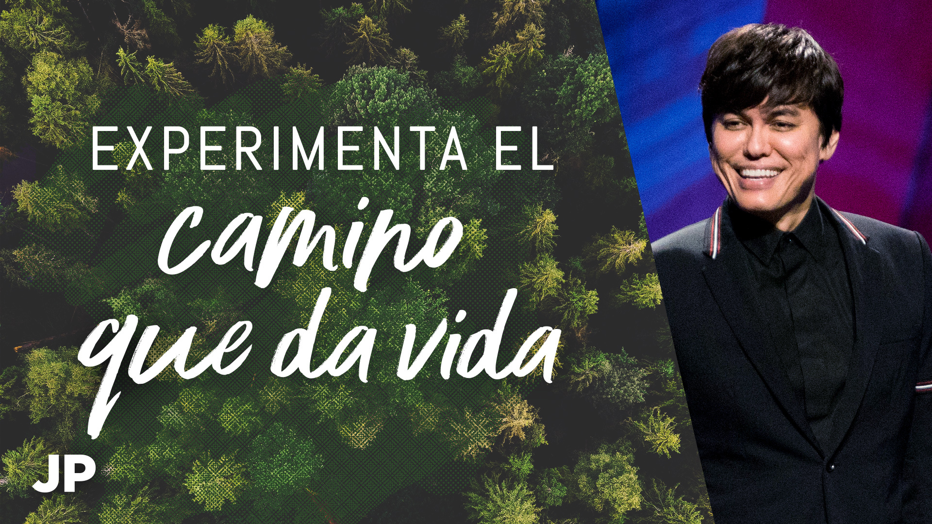 Experimenta el camino que da vida