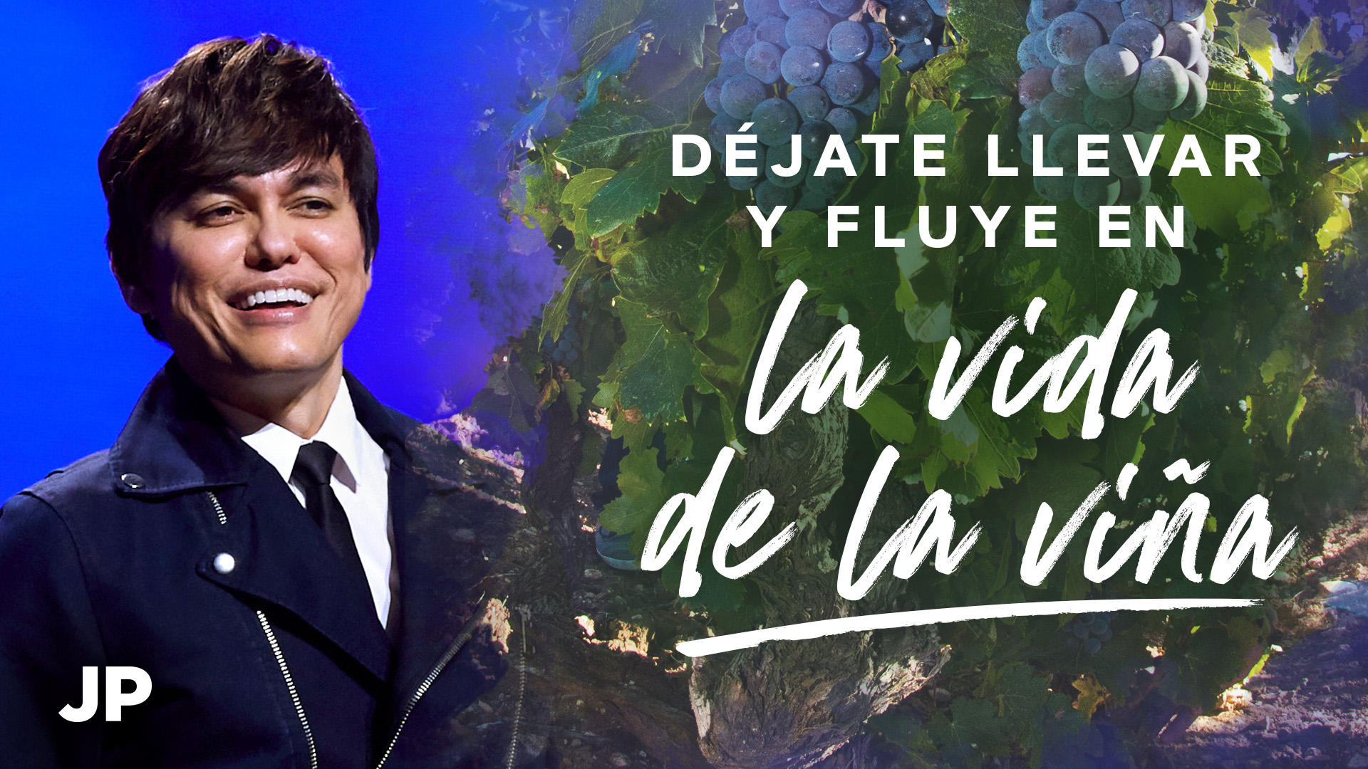Déjate llevar y fluye en la vida de la viña
