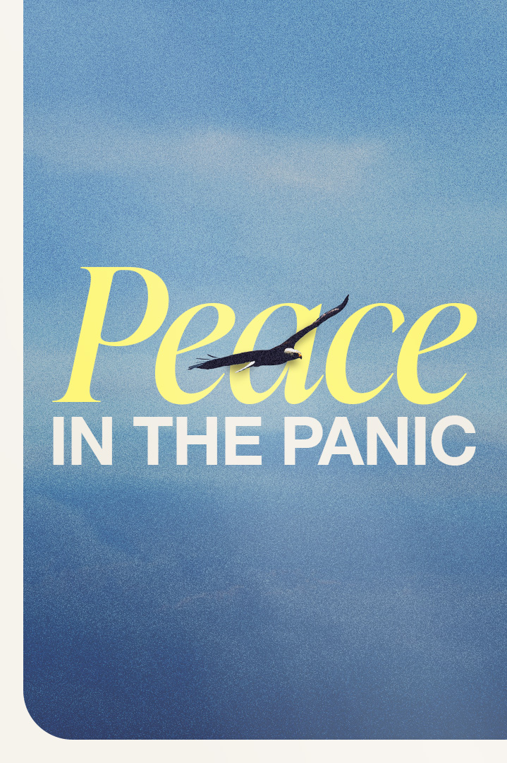 Peace In The Panic