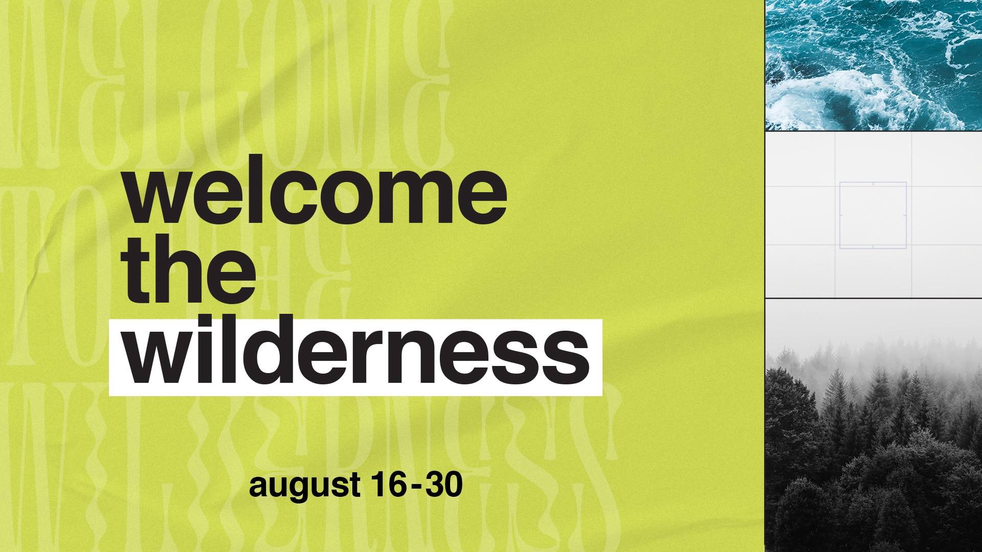 Welcome the Wilderness