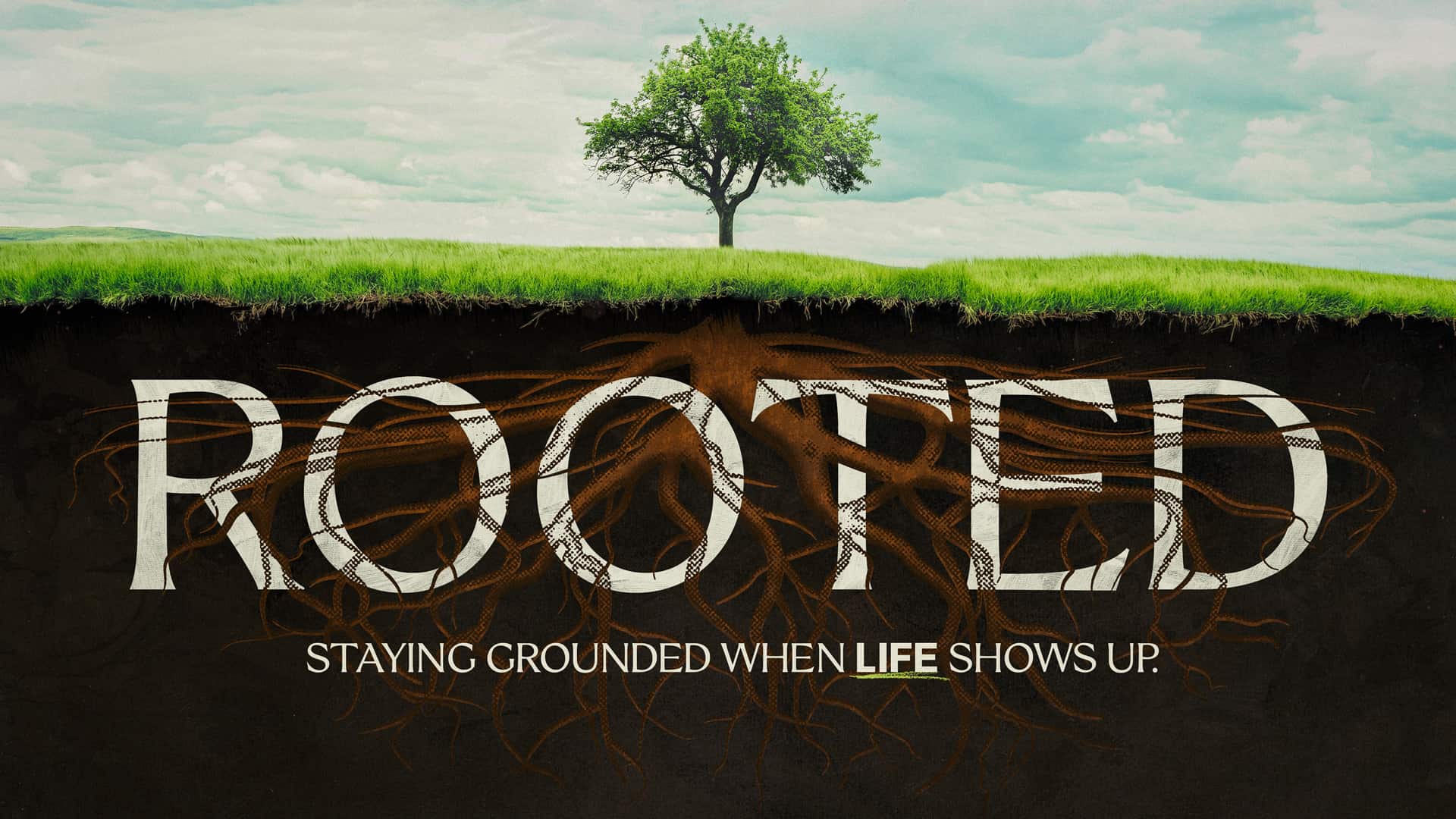 Rooted