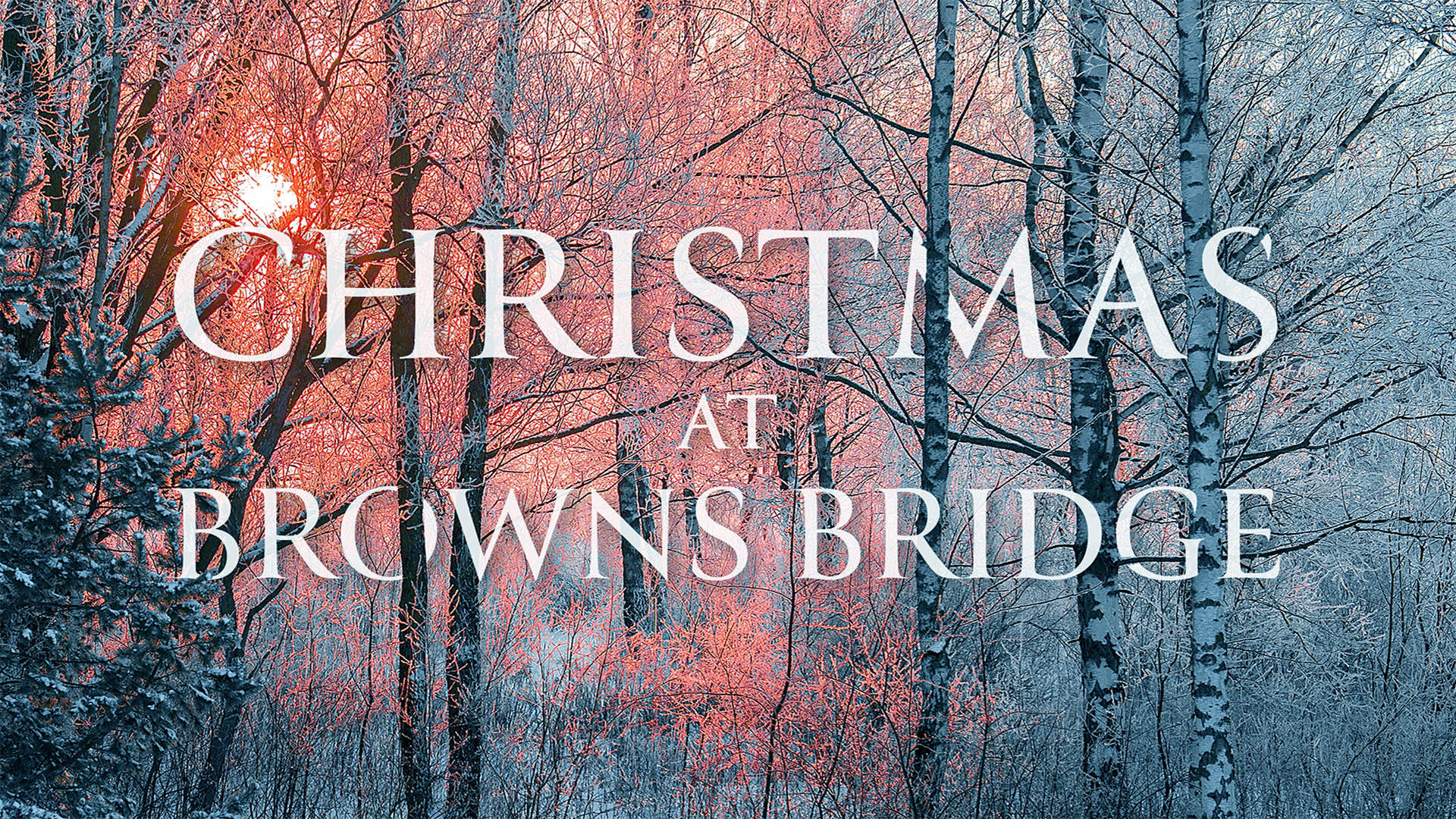 Christmas at Browns Bridge