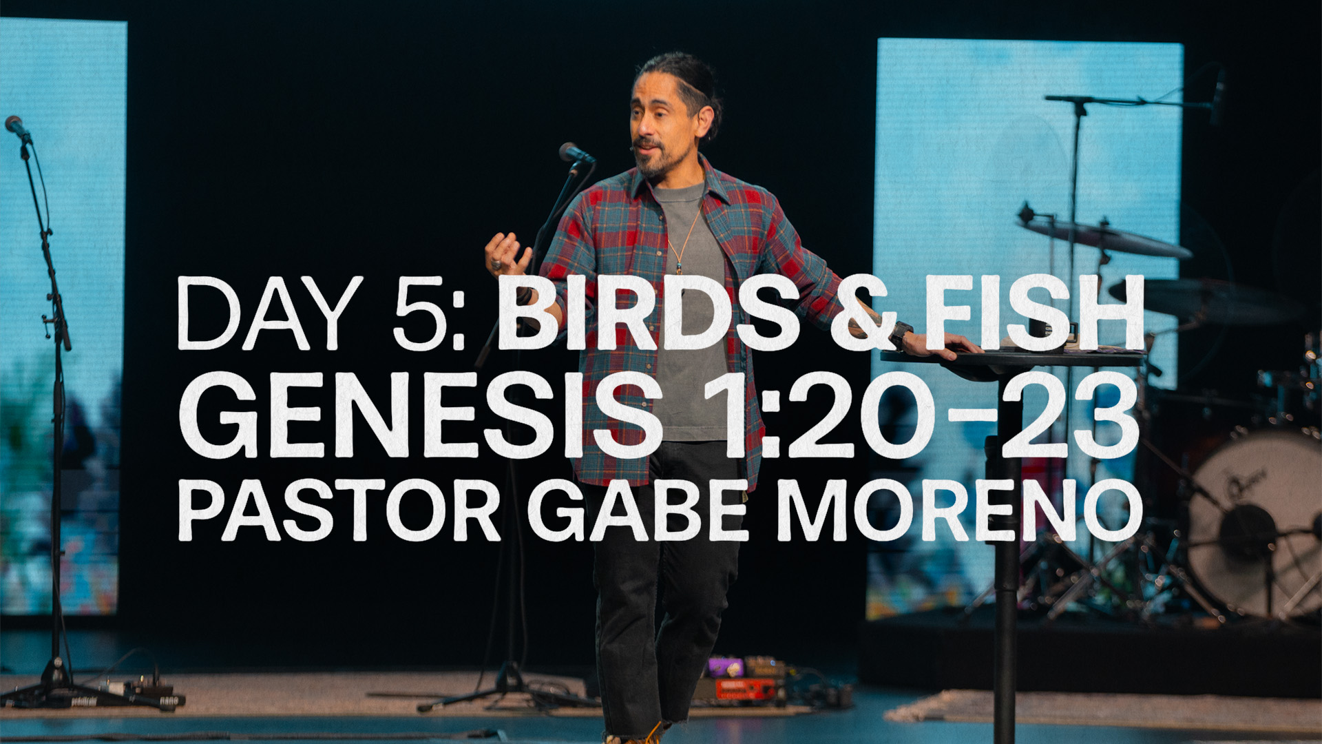 Day 5: Birds & Fish image